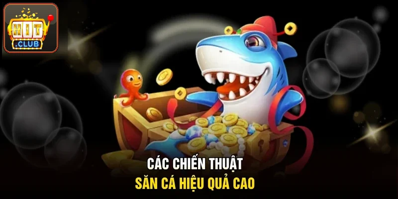 Các chiến thuật săn cá hiệu quả, dễ áp dụng