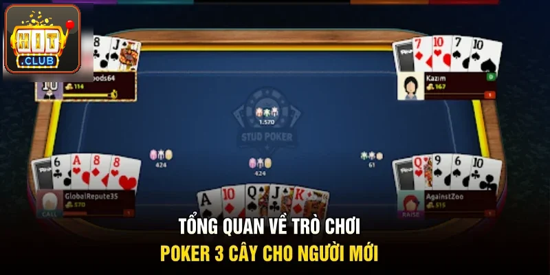 Tổng quan về trò chơi poker 3 cây cho bạn mới